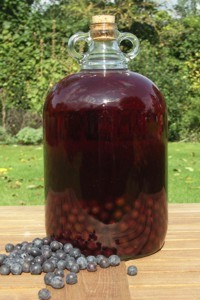 Sloe Gin